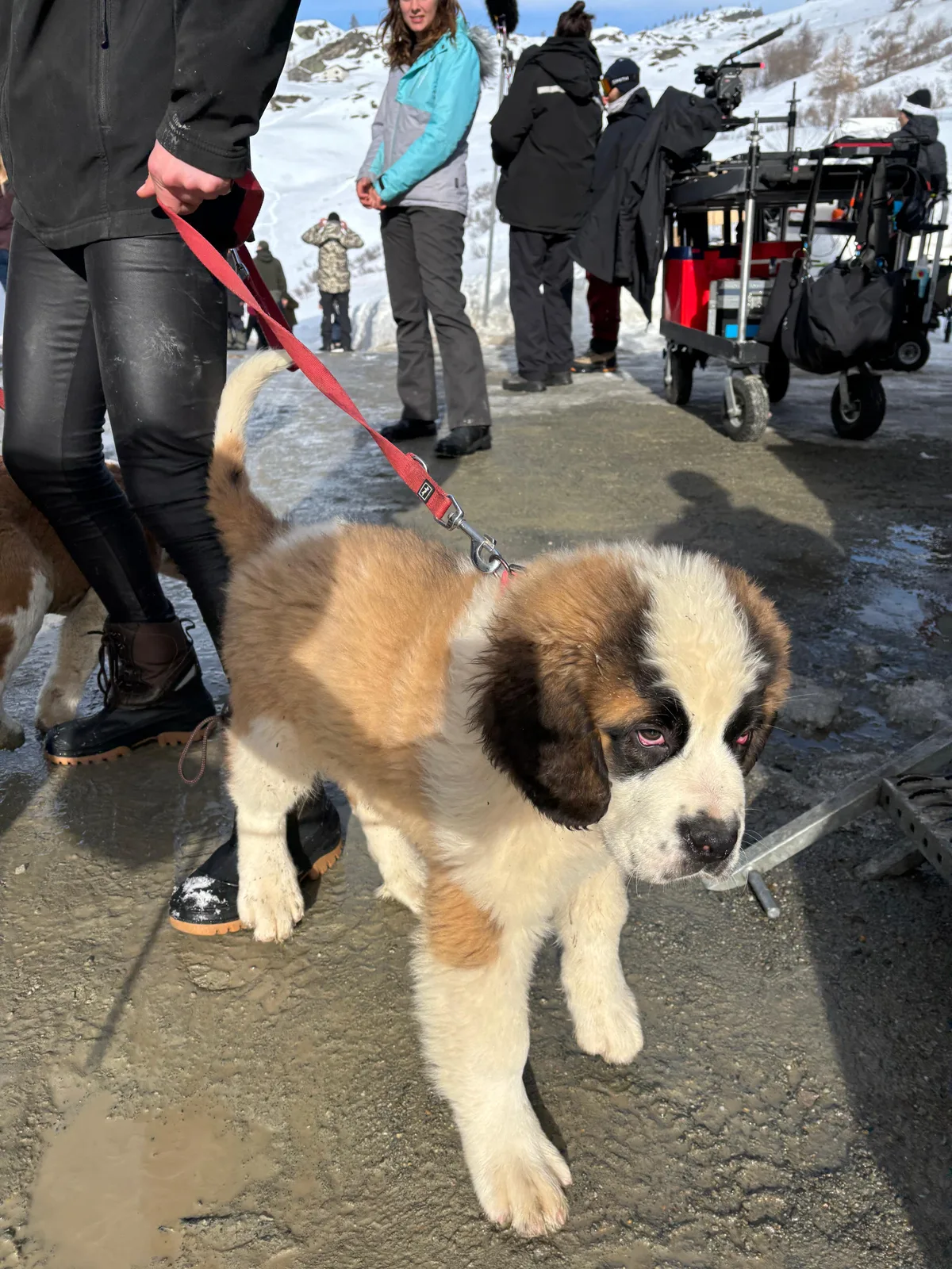 Dreharbeiten zu einem Film